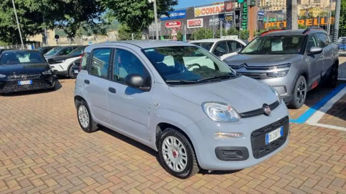 Fiat Panda usata a Savona (14)