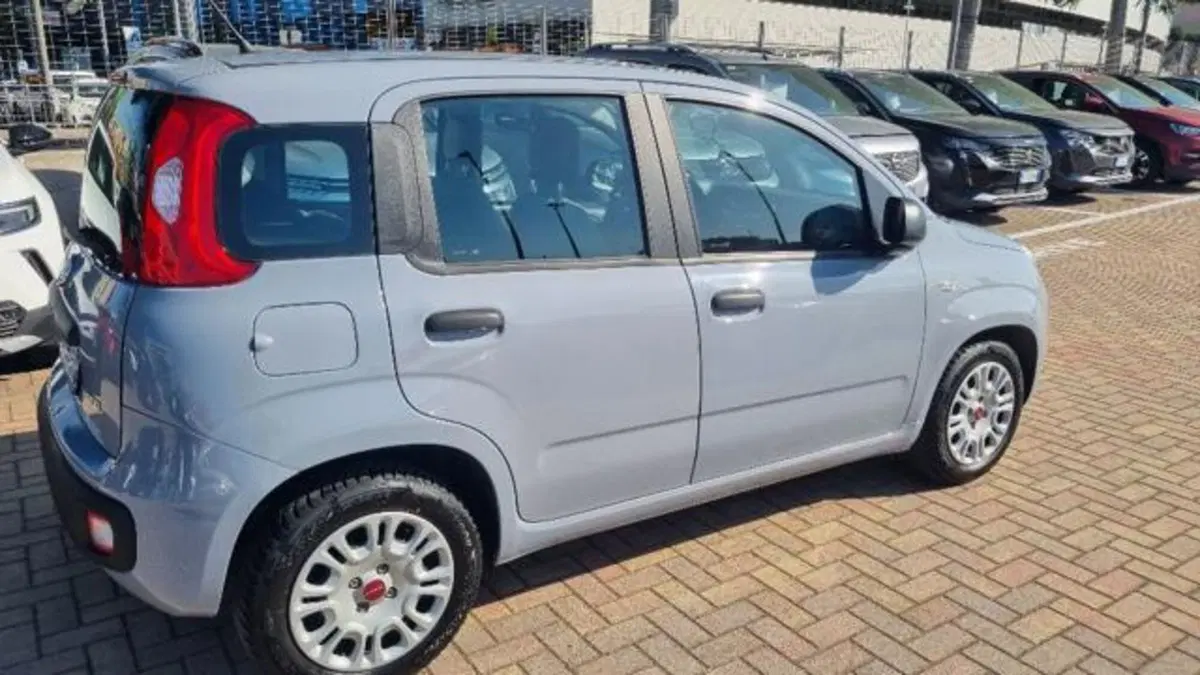 Fiat Panda usata a Savona (15)