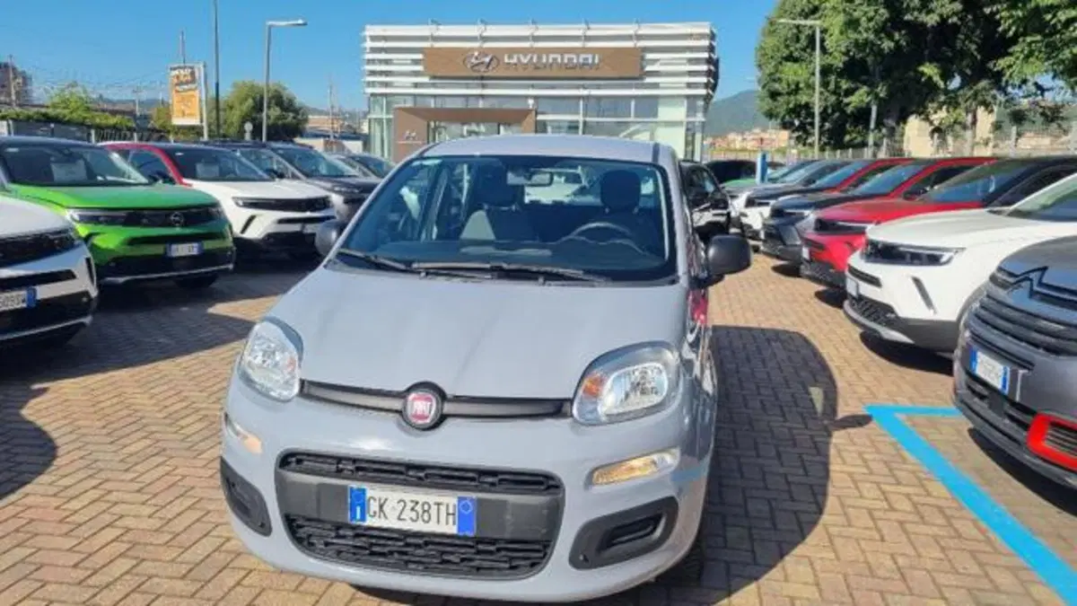 Fiat Panda usata a Savona (2)