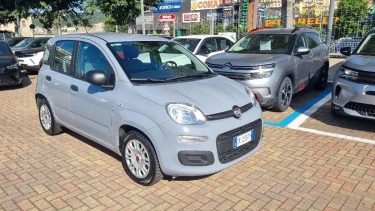 Fiat Panda usata a Savona (3)
