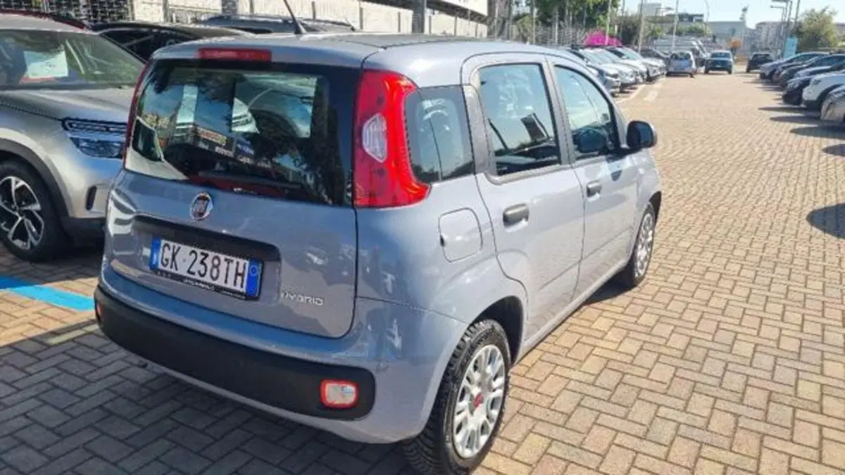 Fiat Panda usata a Savona (4)
