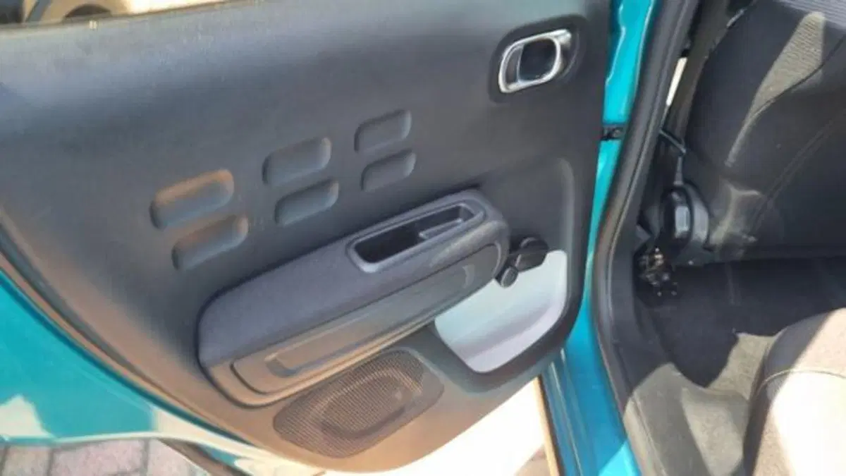 Citroen C3 usata a Savona (20)