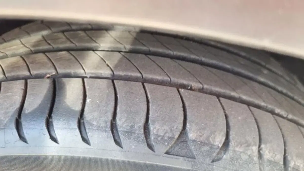 Citroen C3 usata a Savona (6)