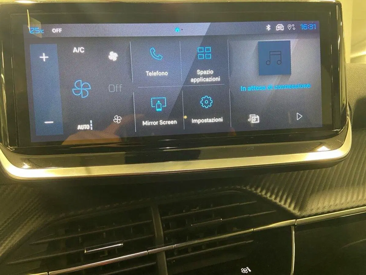 Peugeot 2008 usata a Torino (10)