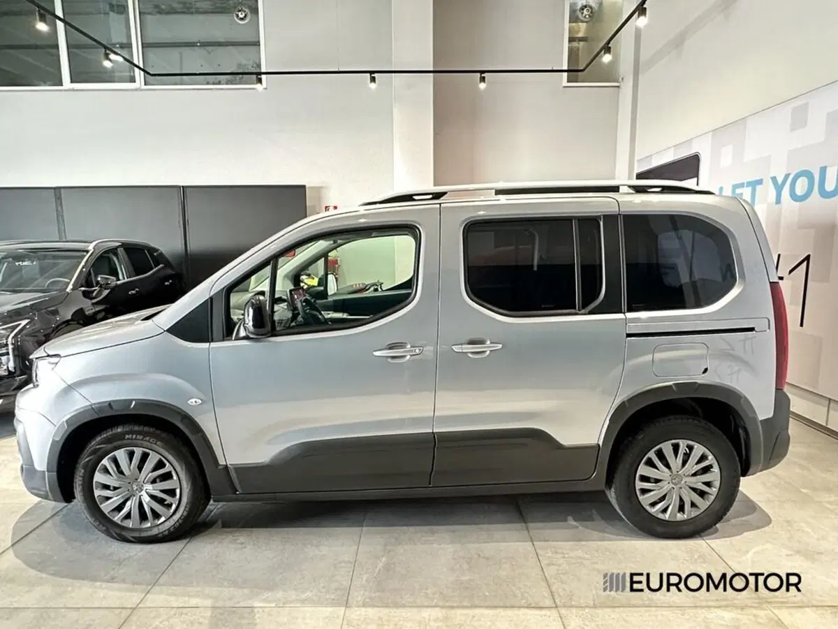 Peugeot Rifter usata a Bari (8)