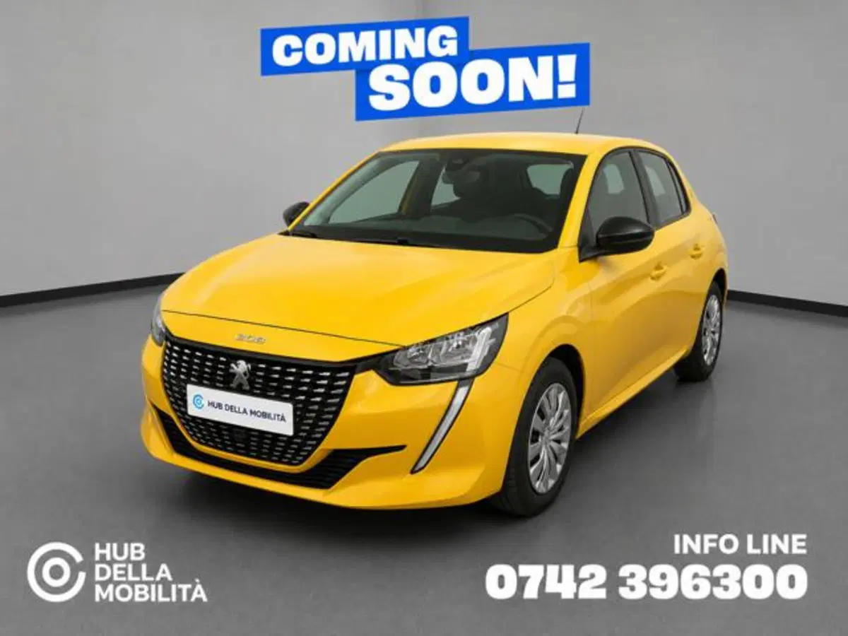 Peugeot 208 usata a Perugia