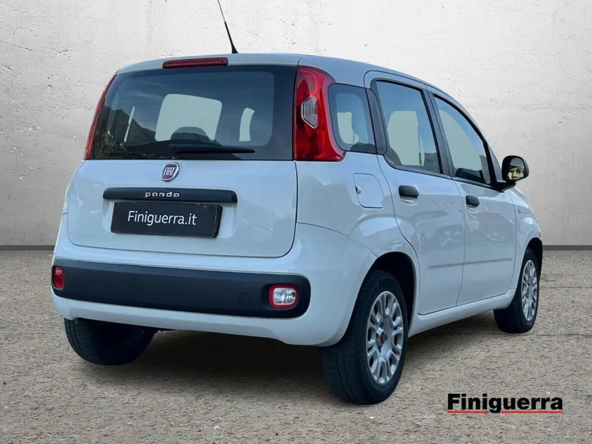Fiat Panda usata a Sondrio (4)