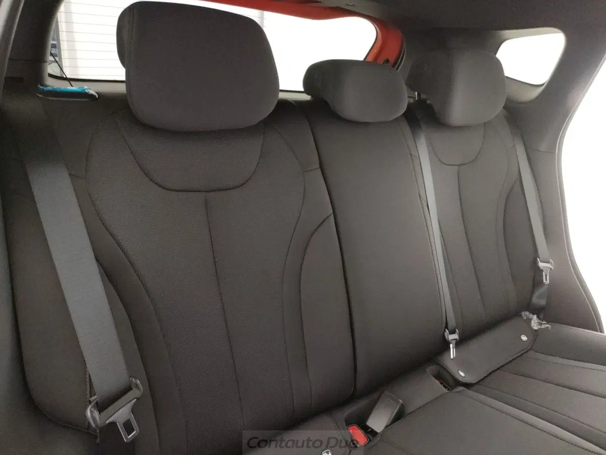 Byd Dolphin G DM-i nuova a Caserta (12)