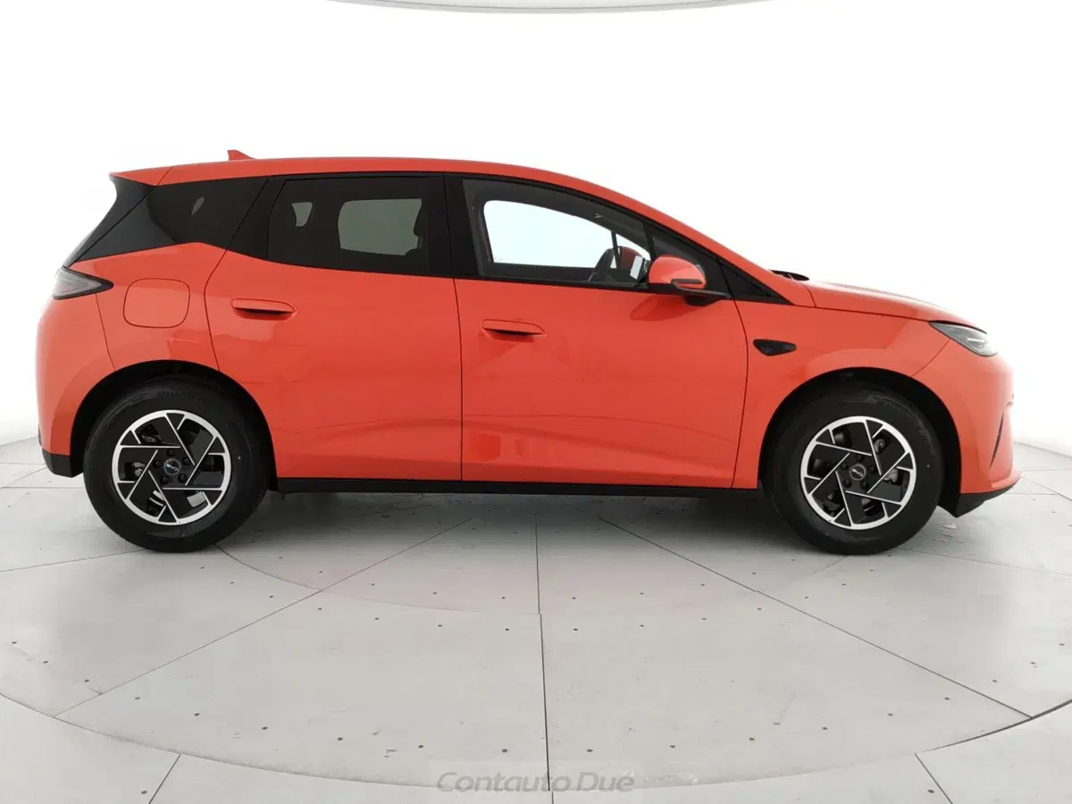Byd Dolphin G DM-i nuova a Caserta (4)