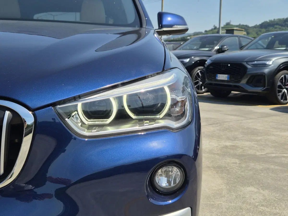 BMW X1 usata a Torino (18)