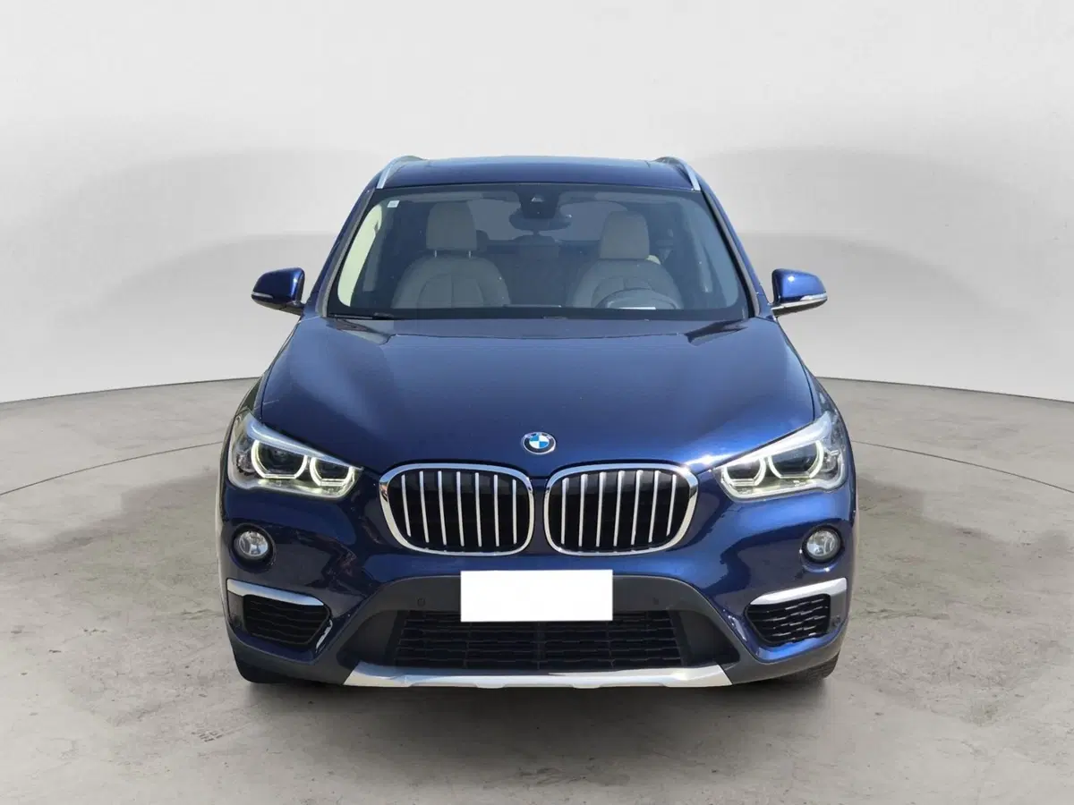 BMW X1 usata a Torino (2)