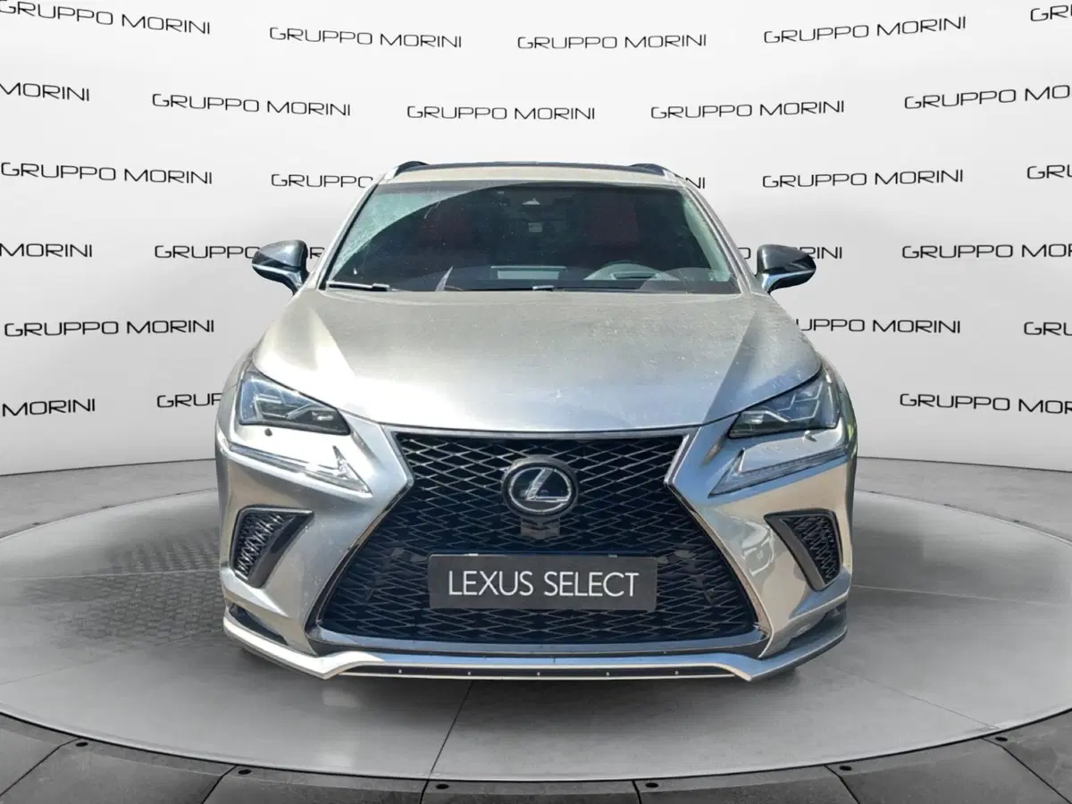 Lexus NX usata a Bologna