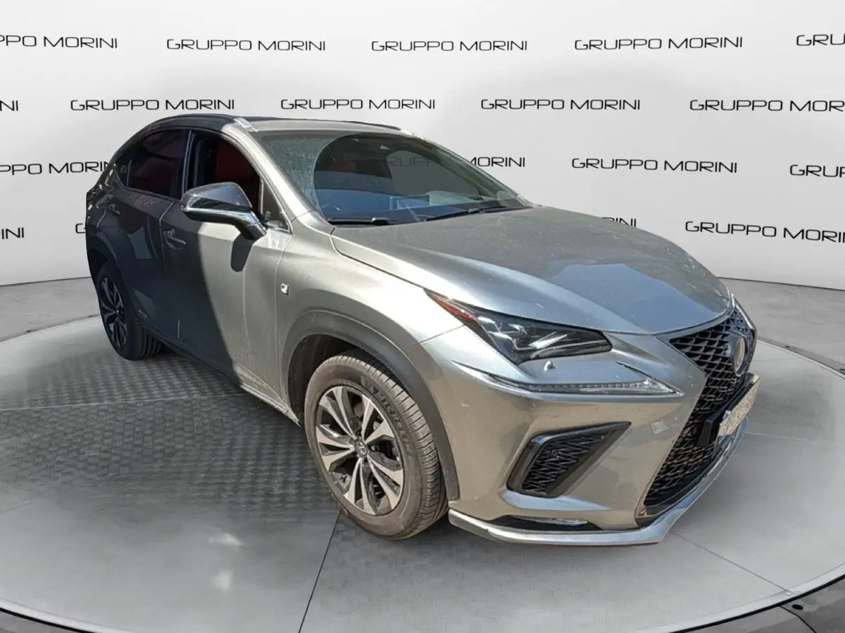 Lexus NX usata a Bologna (2)