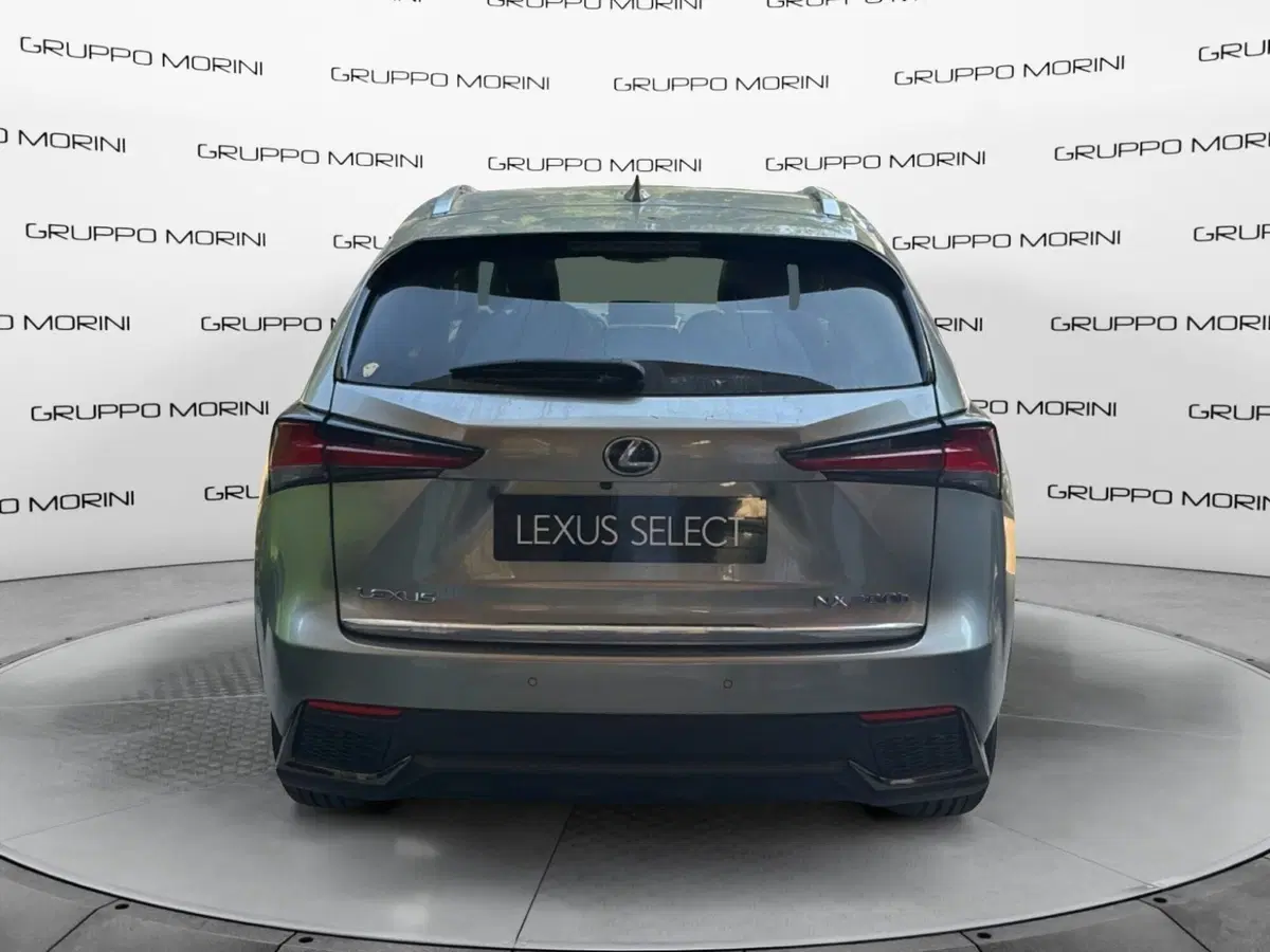 Lexus NX usata a Bologna (4)