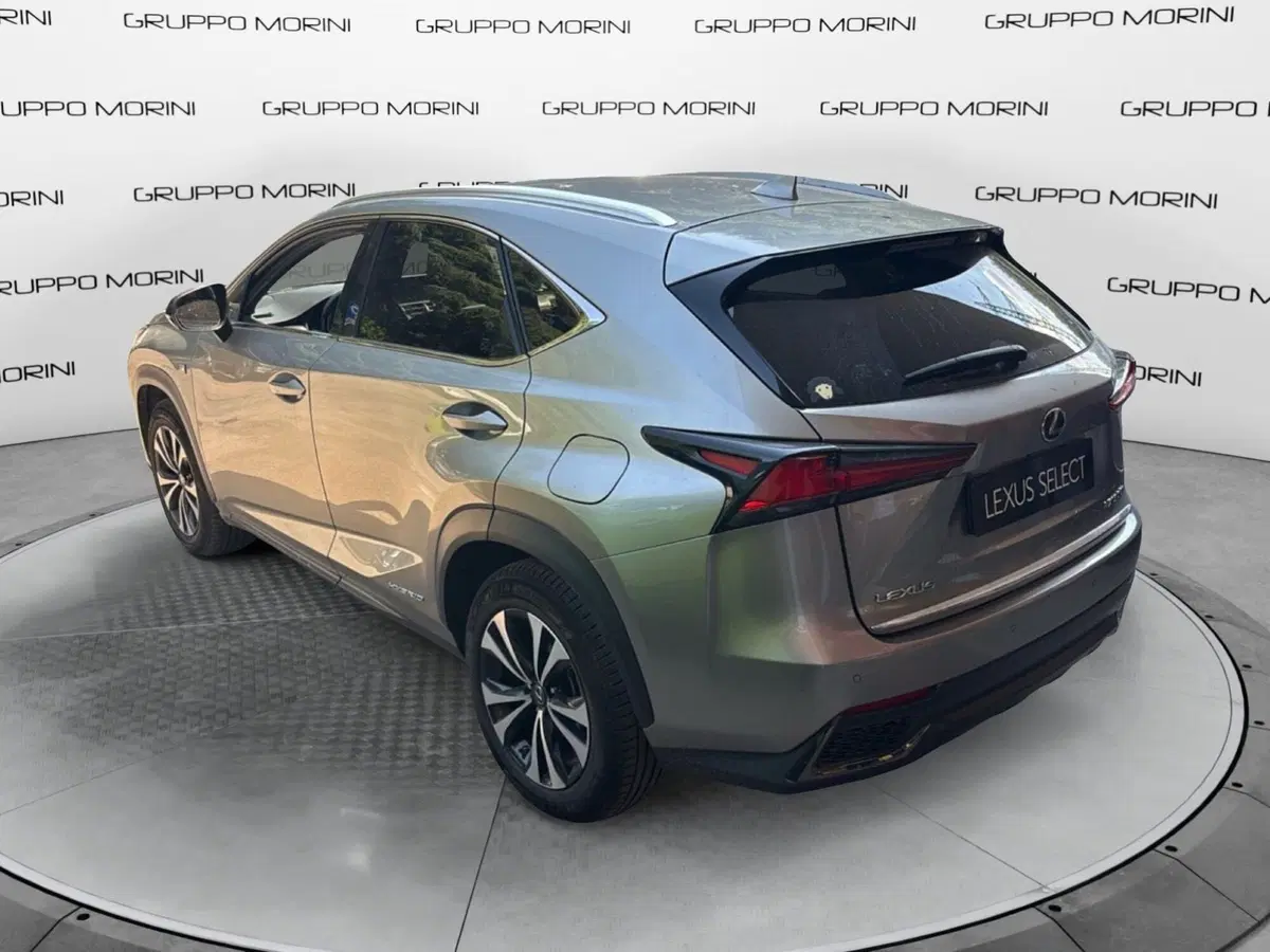 Lexus NX usata a Bologna (5)