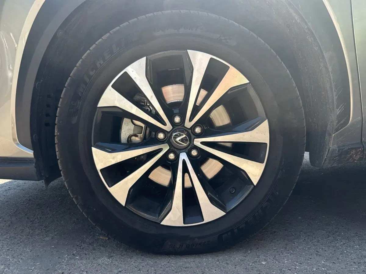 Lexus NX usata a Bologna (7)