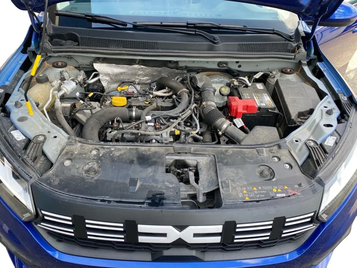 Dacia Sandero usata a Bologna (12)