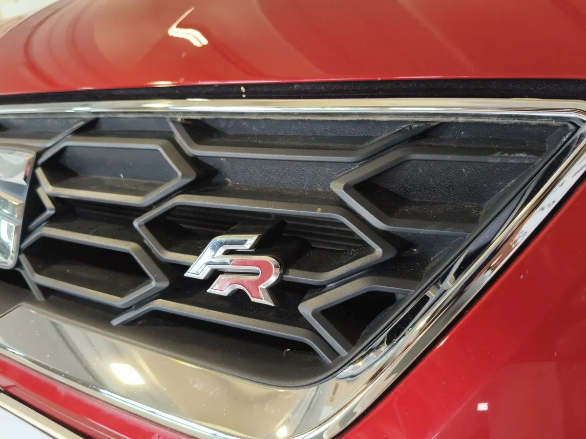 SEAT Ibiza usata a Brescia (13)