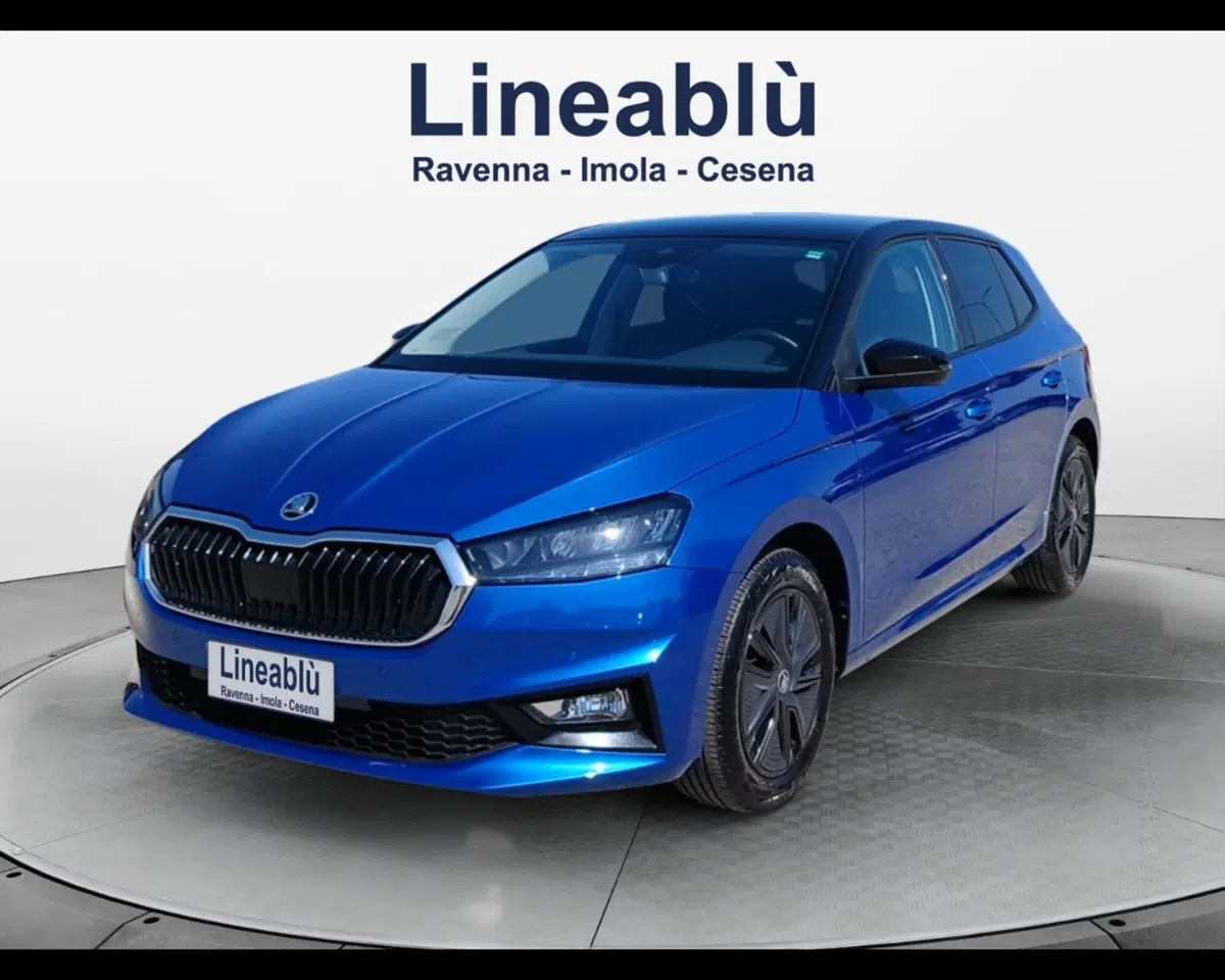 Skoda Fabia usata a Ravenna