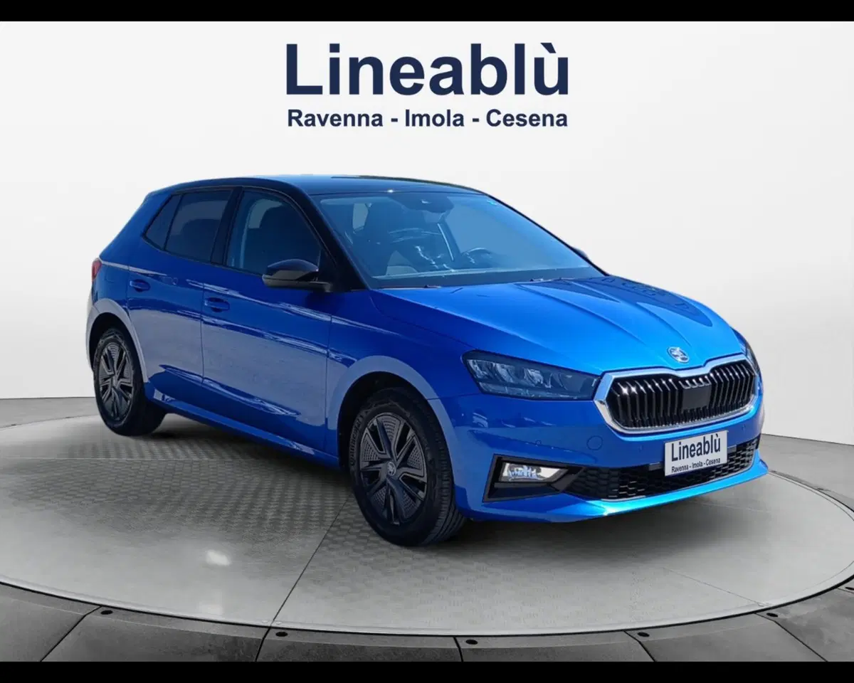 Skoda Fabia usata a Ravenna (7)