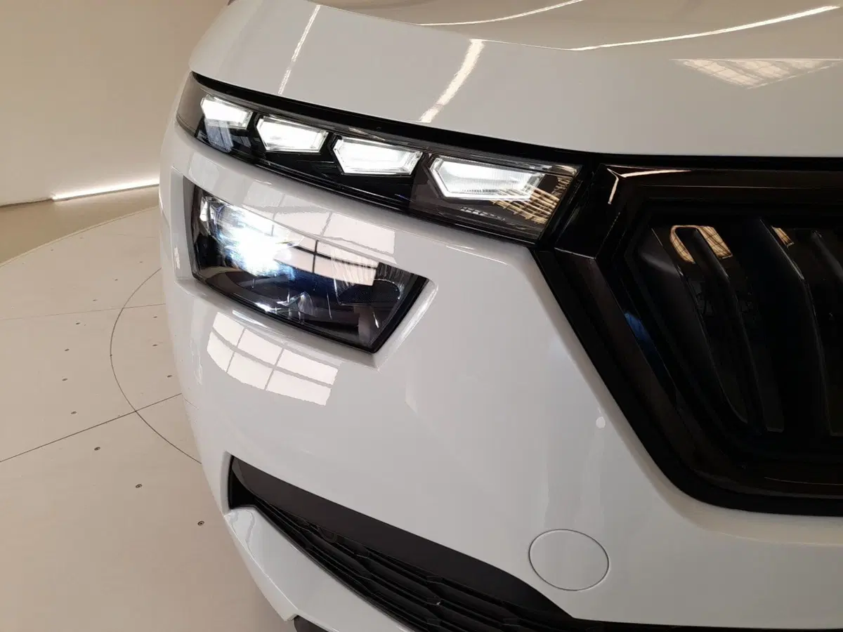 Skoda Kamiq usata a Bologna (8)