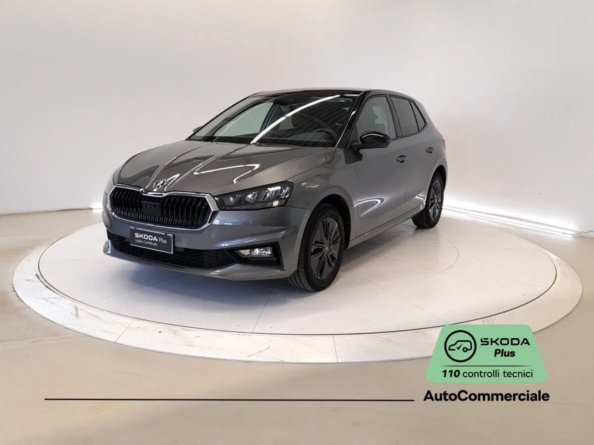 Skoda Fabia usata a Bologna (3)