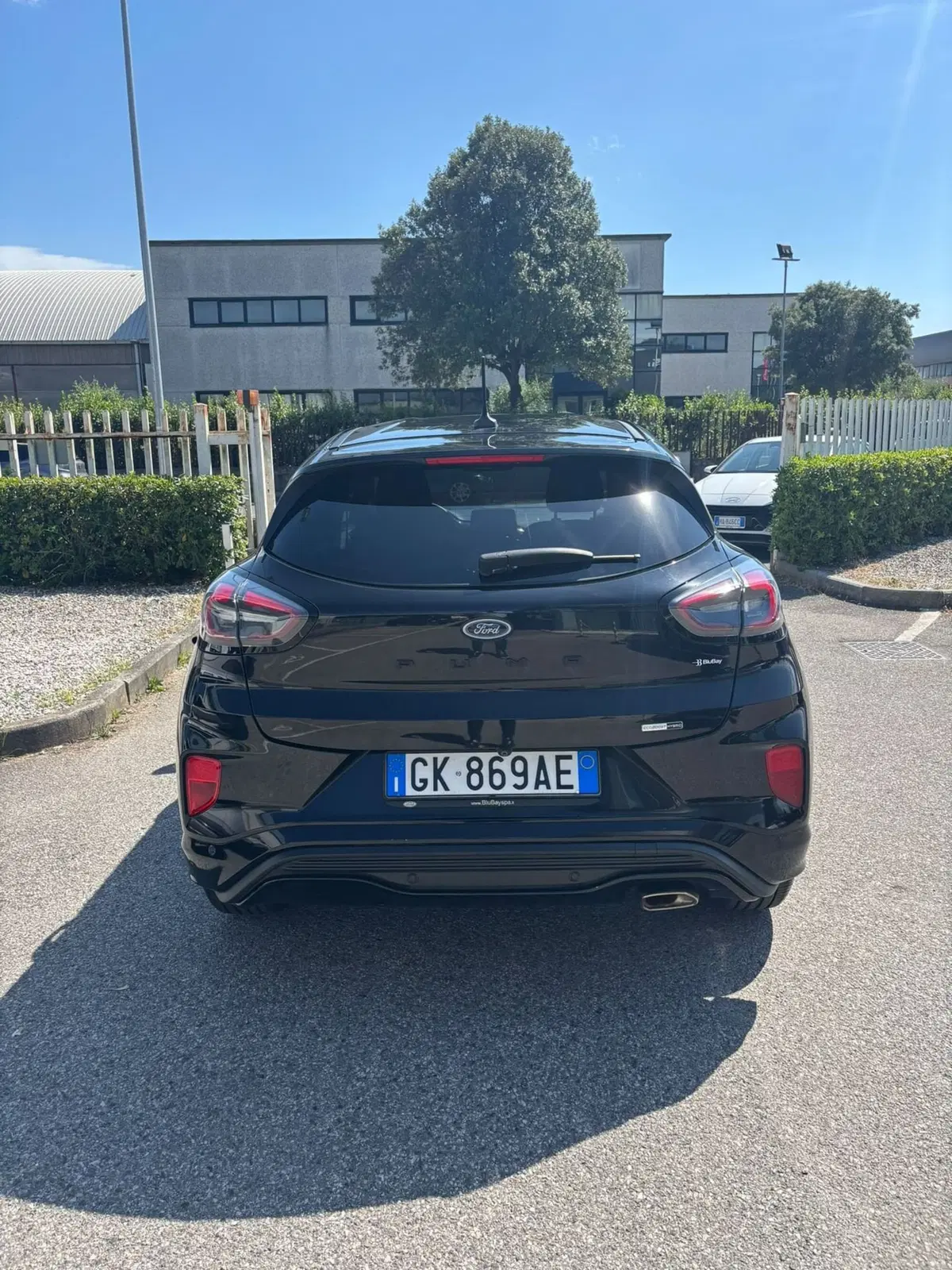 Ford Puma usata a Firenze (8)