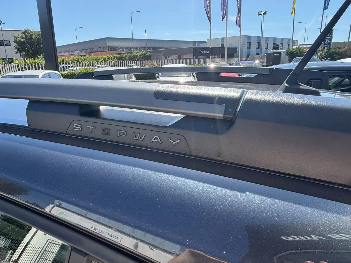 Dacia Sandero usata a Firenze (17)