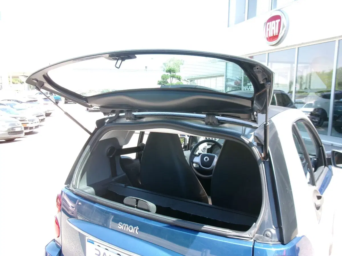 smart Fortwo usata a Venezia (14)