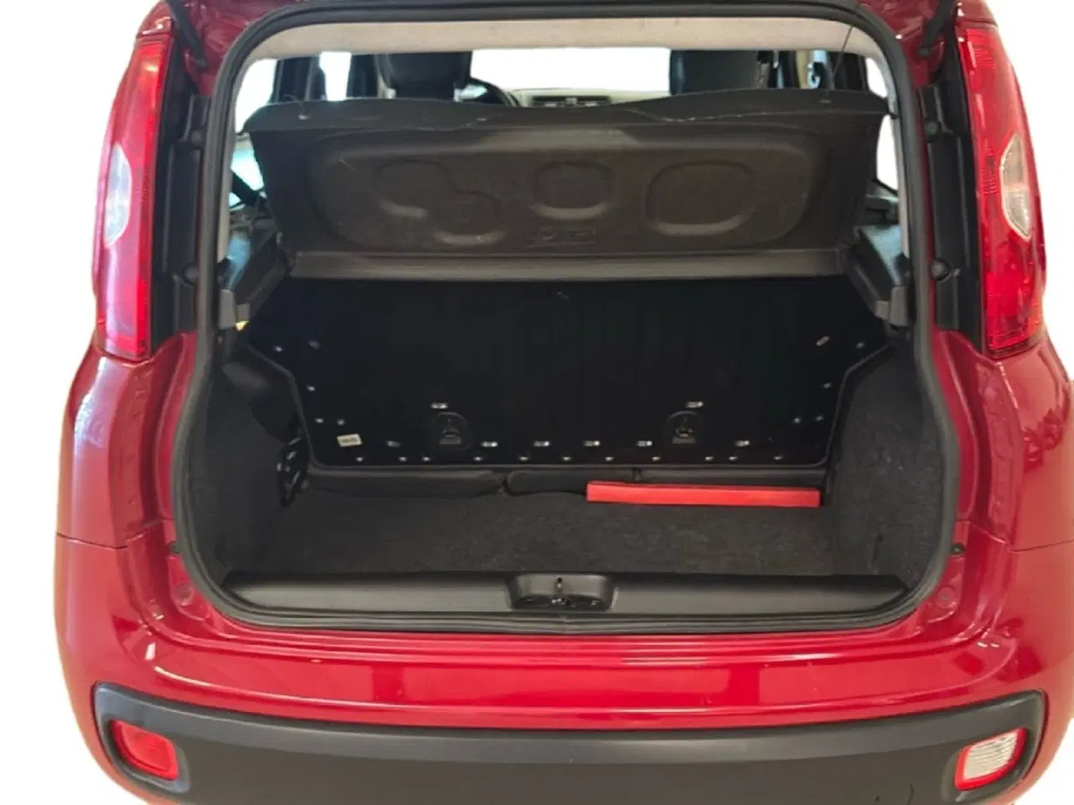 Fiat Panda usata a Arezzo (11)