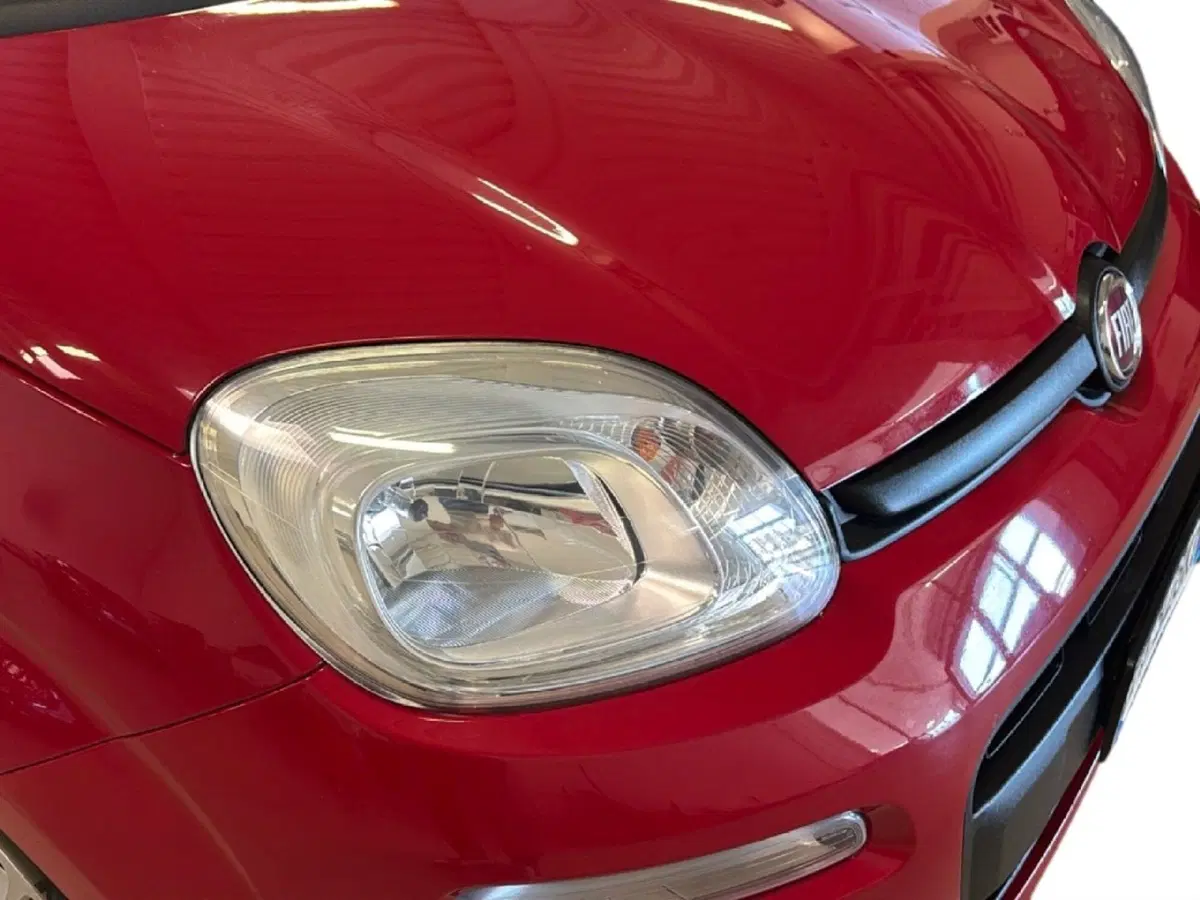 Fiat Panda usata a Arezzo (9)