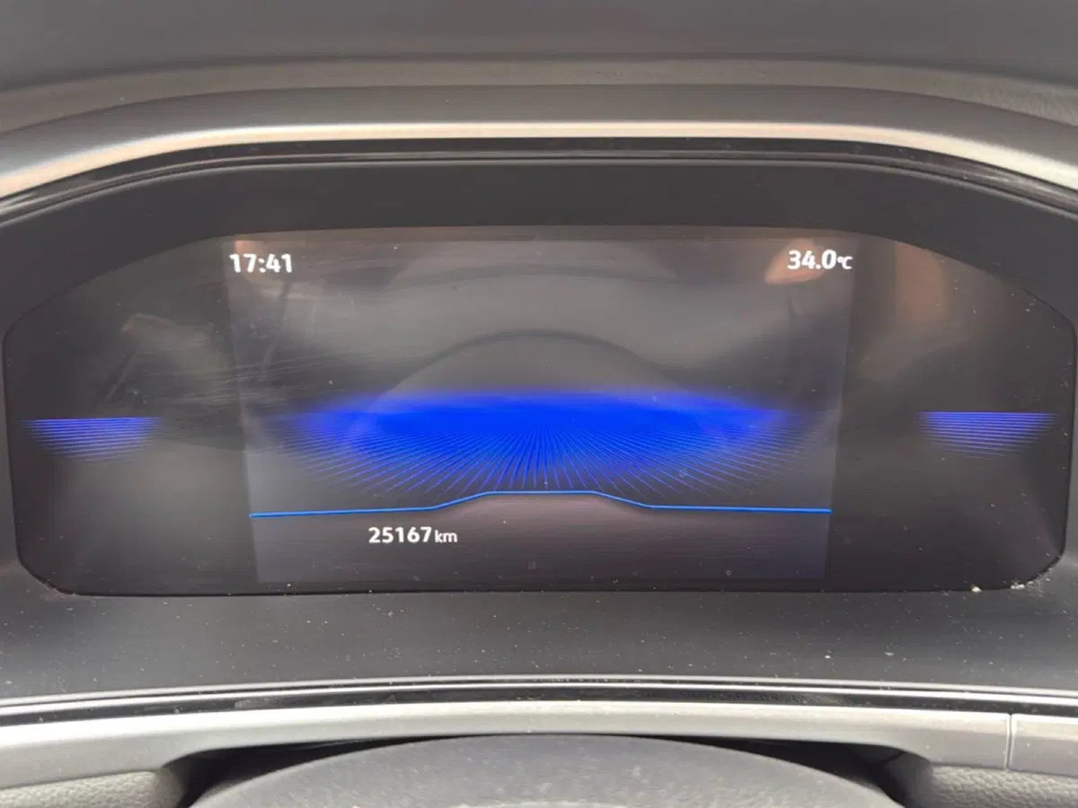 Volkswagen T-Roc usata a Terni (16)