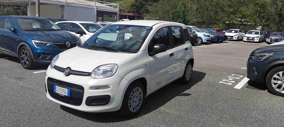 Fiat Pandina usata a Roma
