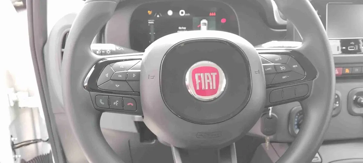 Fiat Pandina usata a Roma (3)