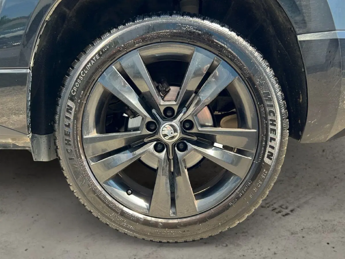 Skoda Karoq usata a Grosseto (9)