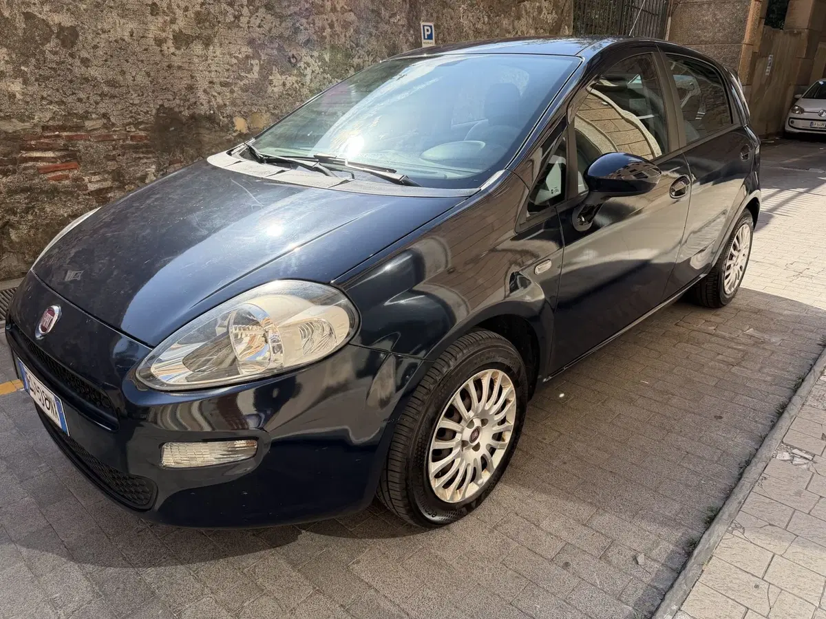 Fiat Punto usata a Genova