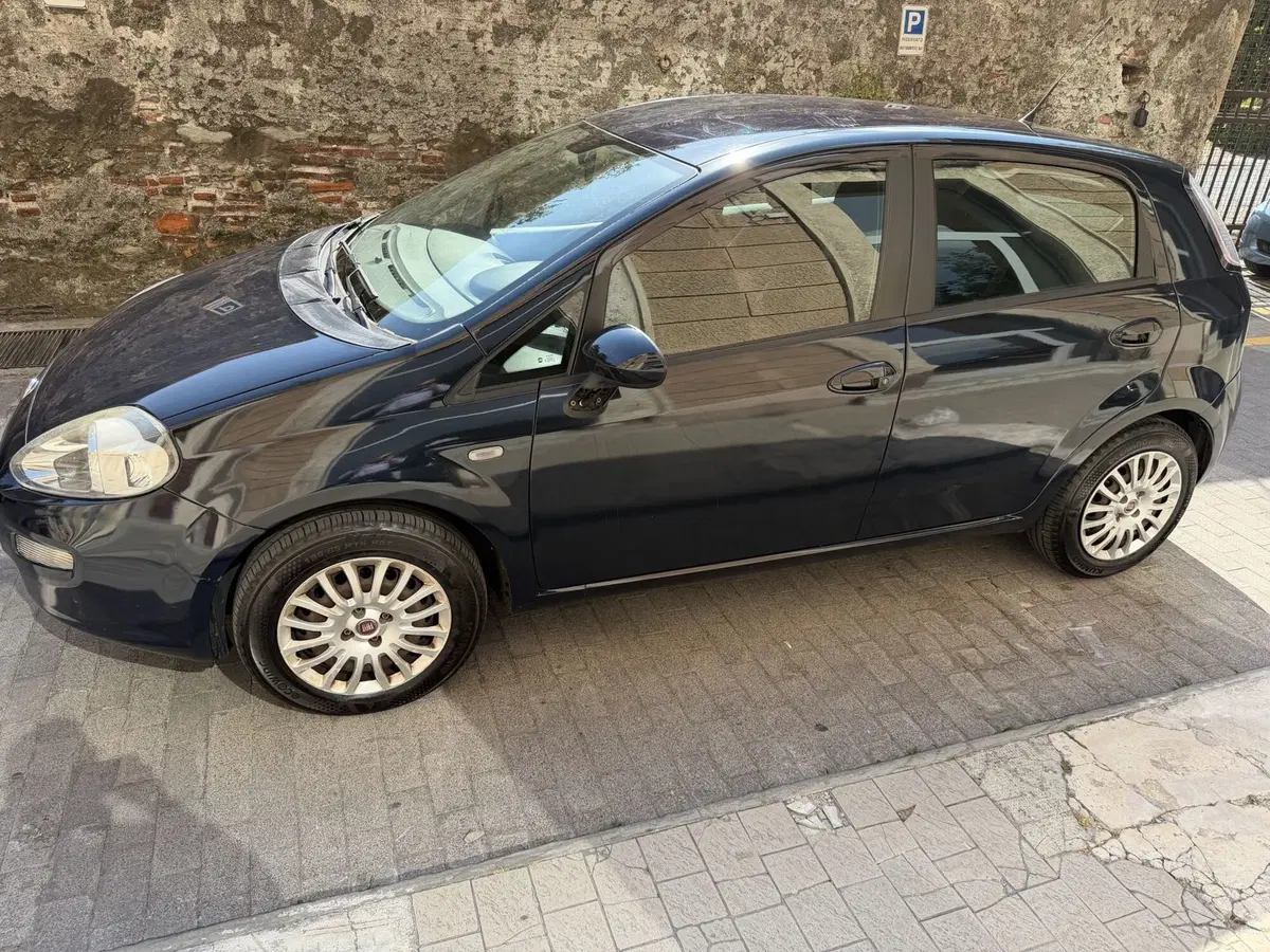 Fiat Punto usata a Genova (2)