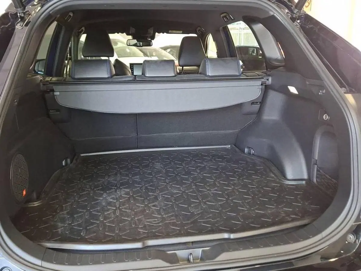 Toyota Rav4 usata a Torino (15)