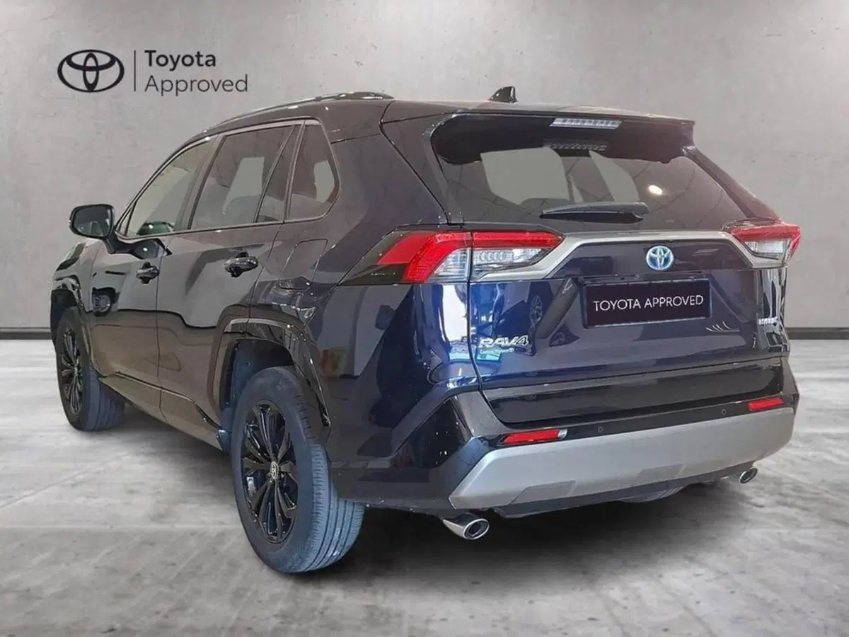 Toyota Rav4 usata a Torino (2)