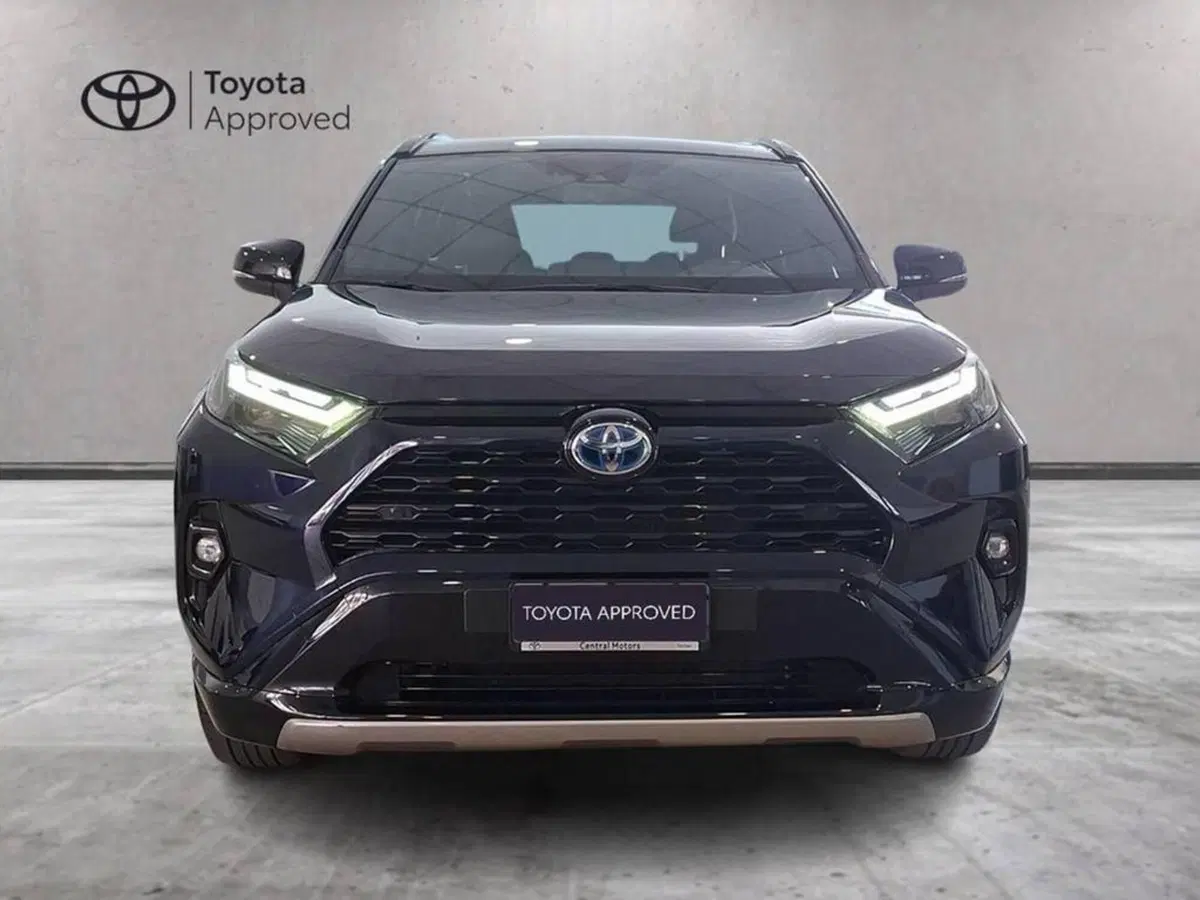 Toyota Rav4 usata a Torino (3)
