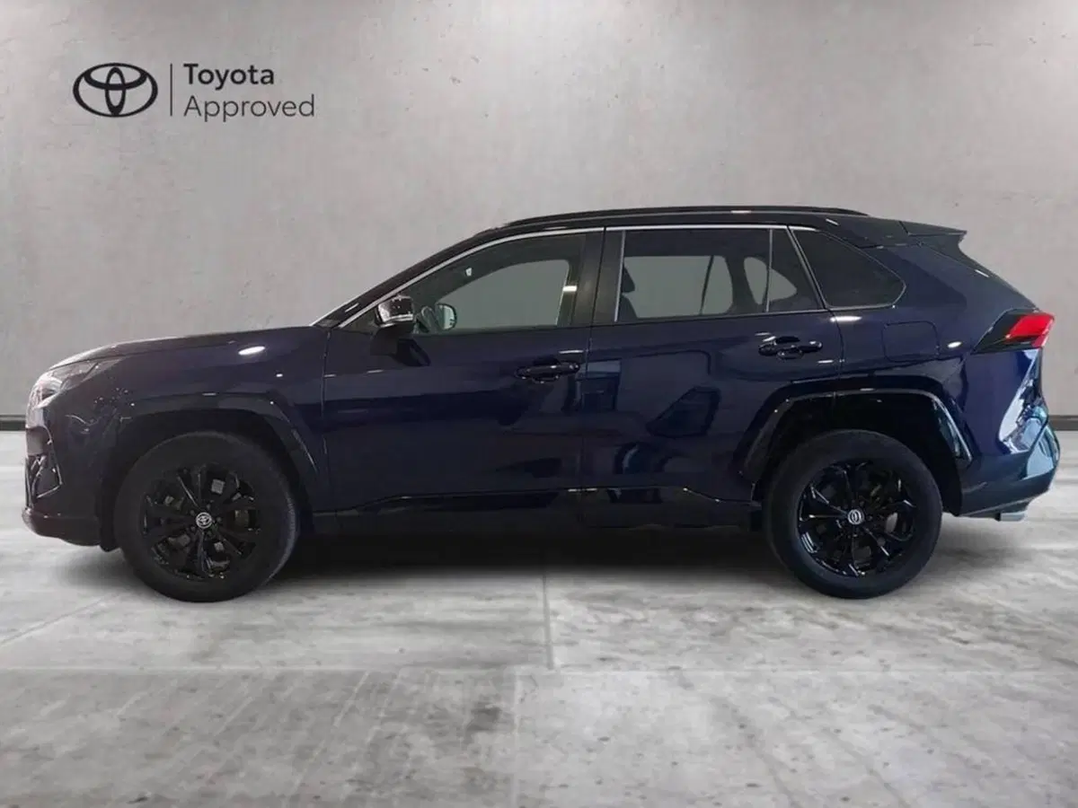 Toyota Rav4 usata a Torino (6)
