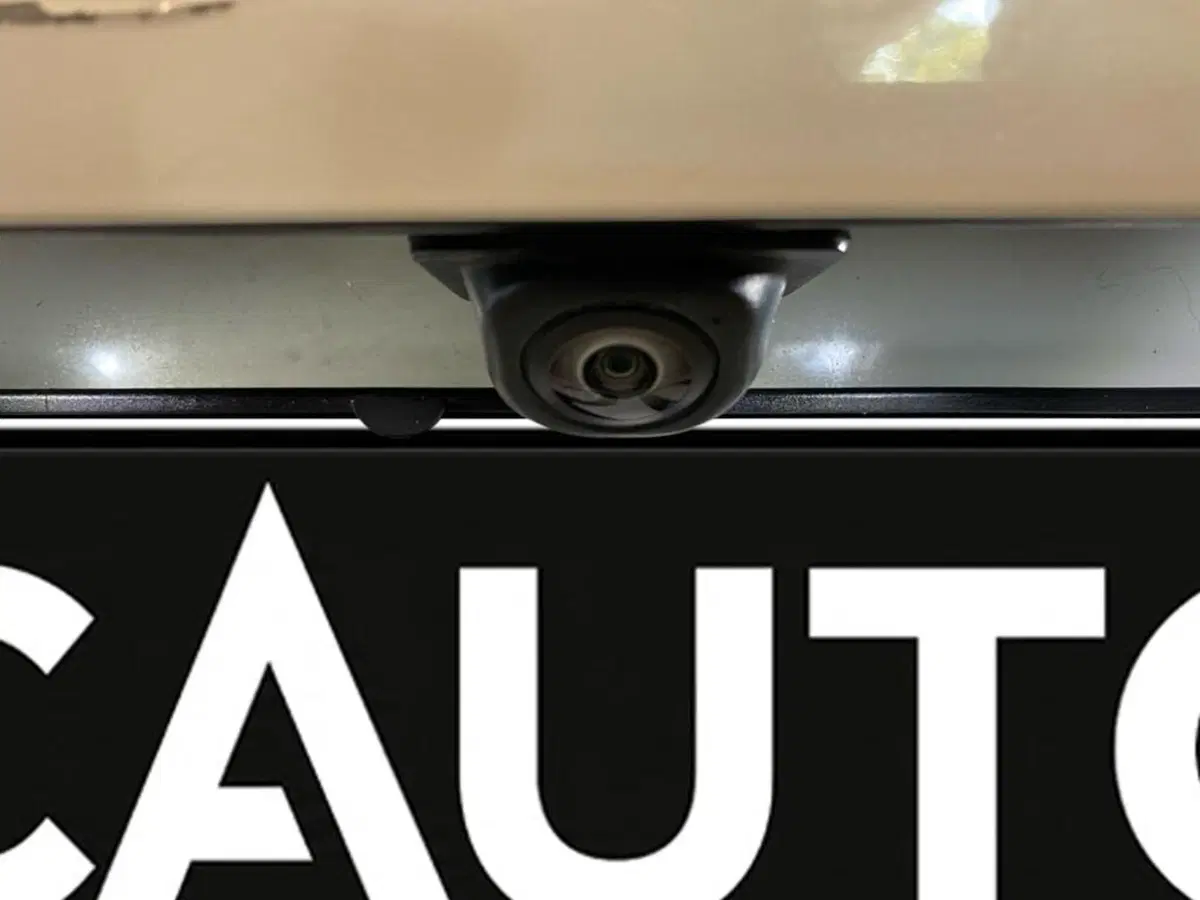 Ford Puma usata a Torino (14)