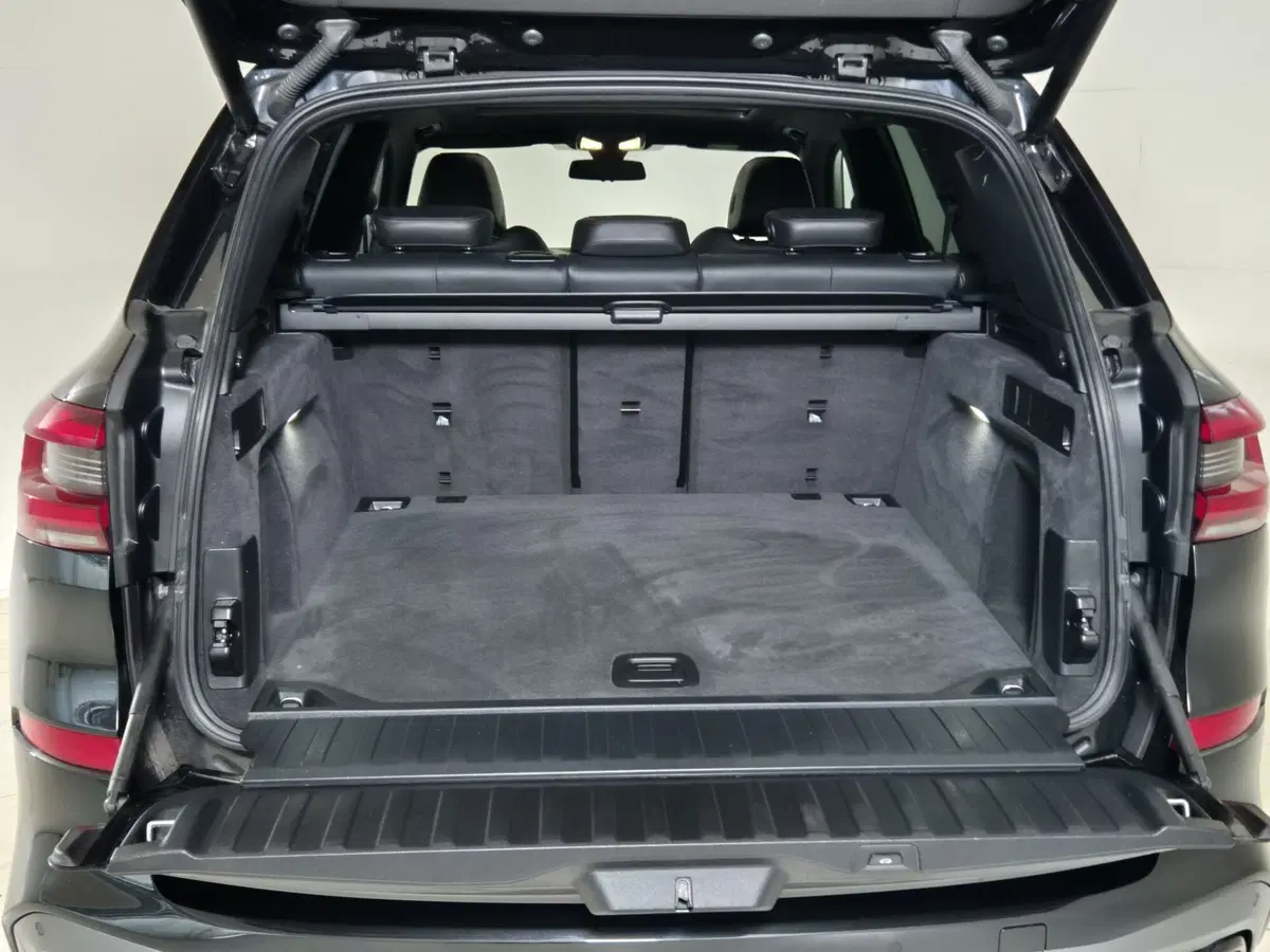BMW X5 usata a Torino (13)