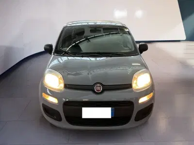 Fiat Panda Cross Cross 1.0 FireFly S&amp;S Hybrid del 2022 usata a Torino