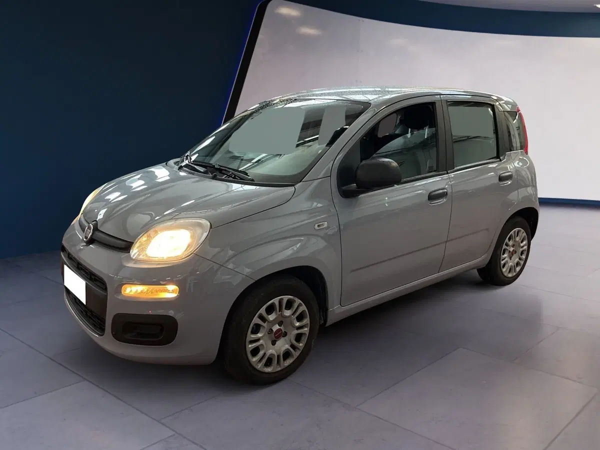 Fiat Panda Cross usata a Torino (2)