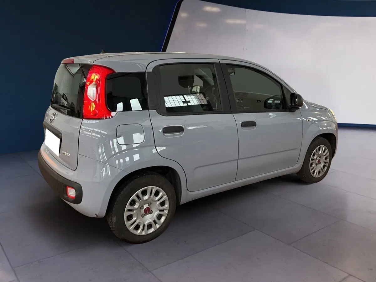 Fiat Panda Cross usata a Torino (4)