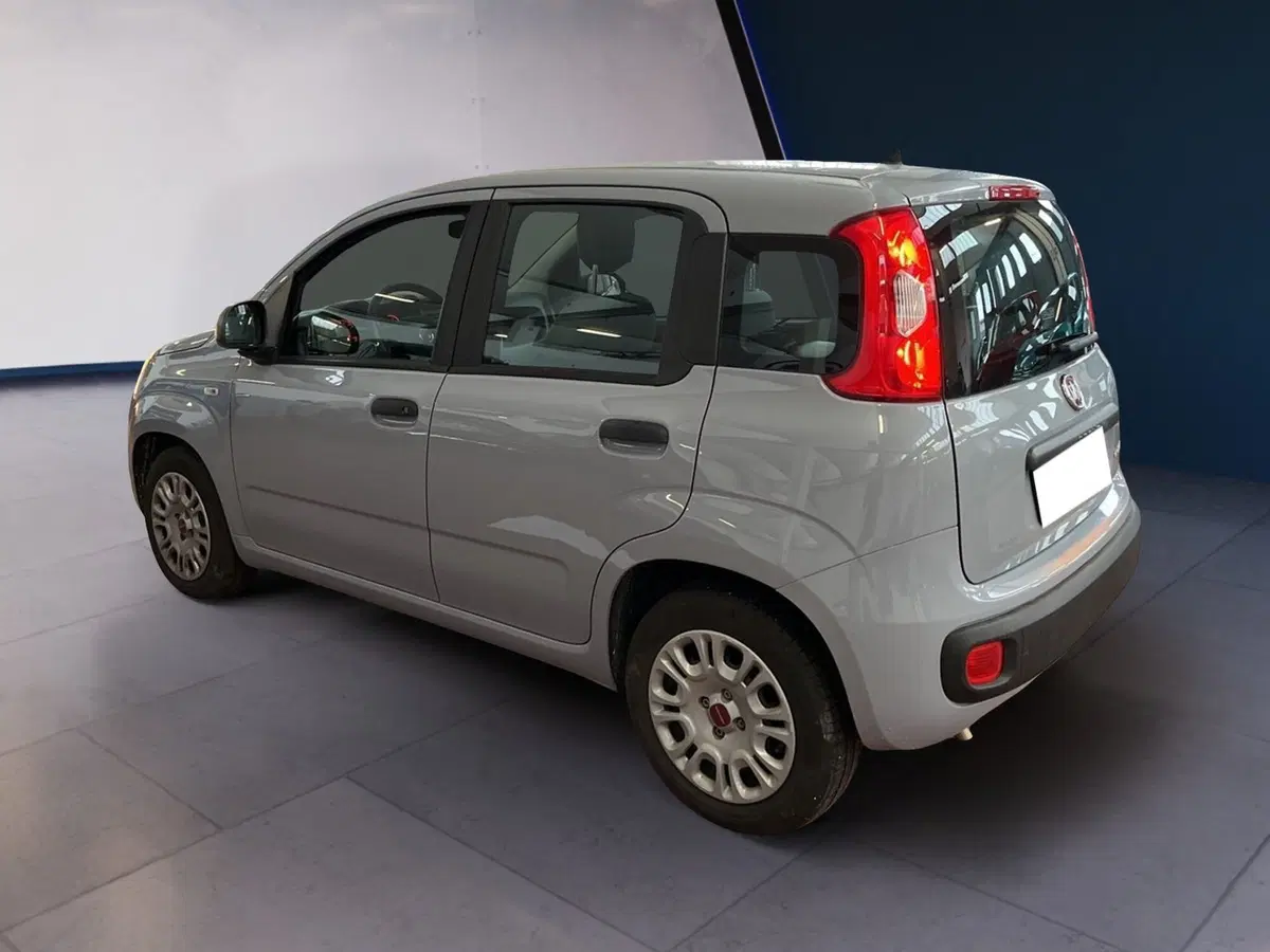 Fiat Panda Cross usata a Torino (6)