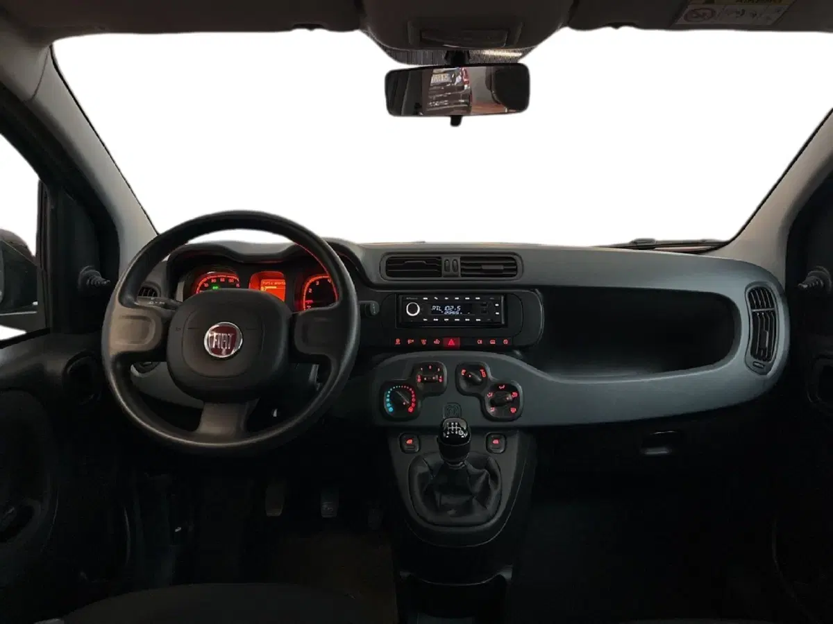 Fiat Panda Cross usata a Torino (9)