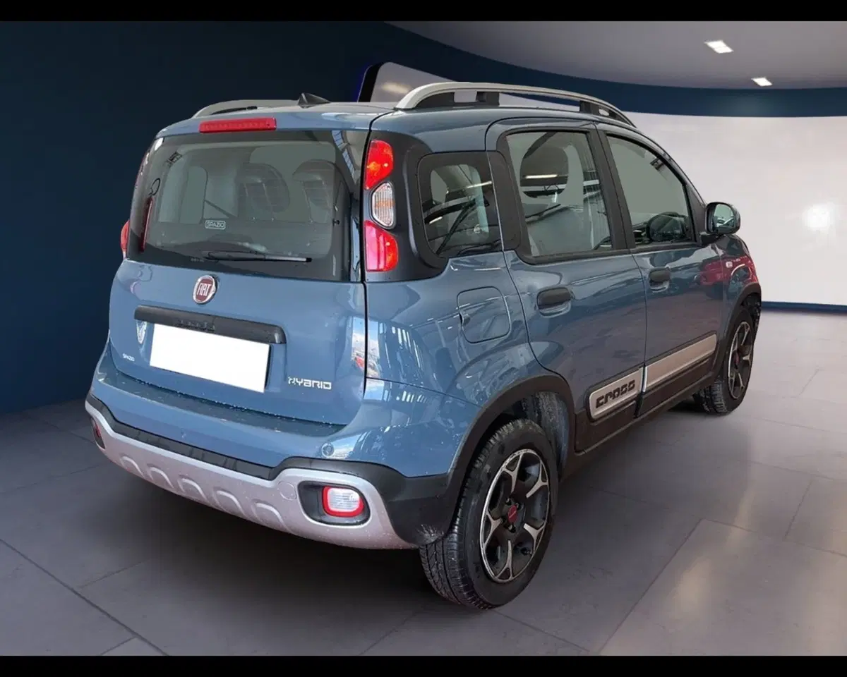 Fiat Panda Cross usata a Torino (11)