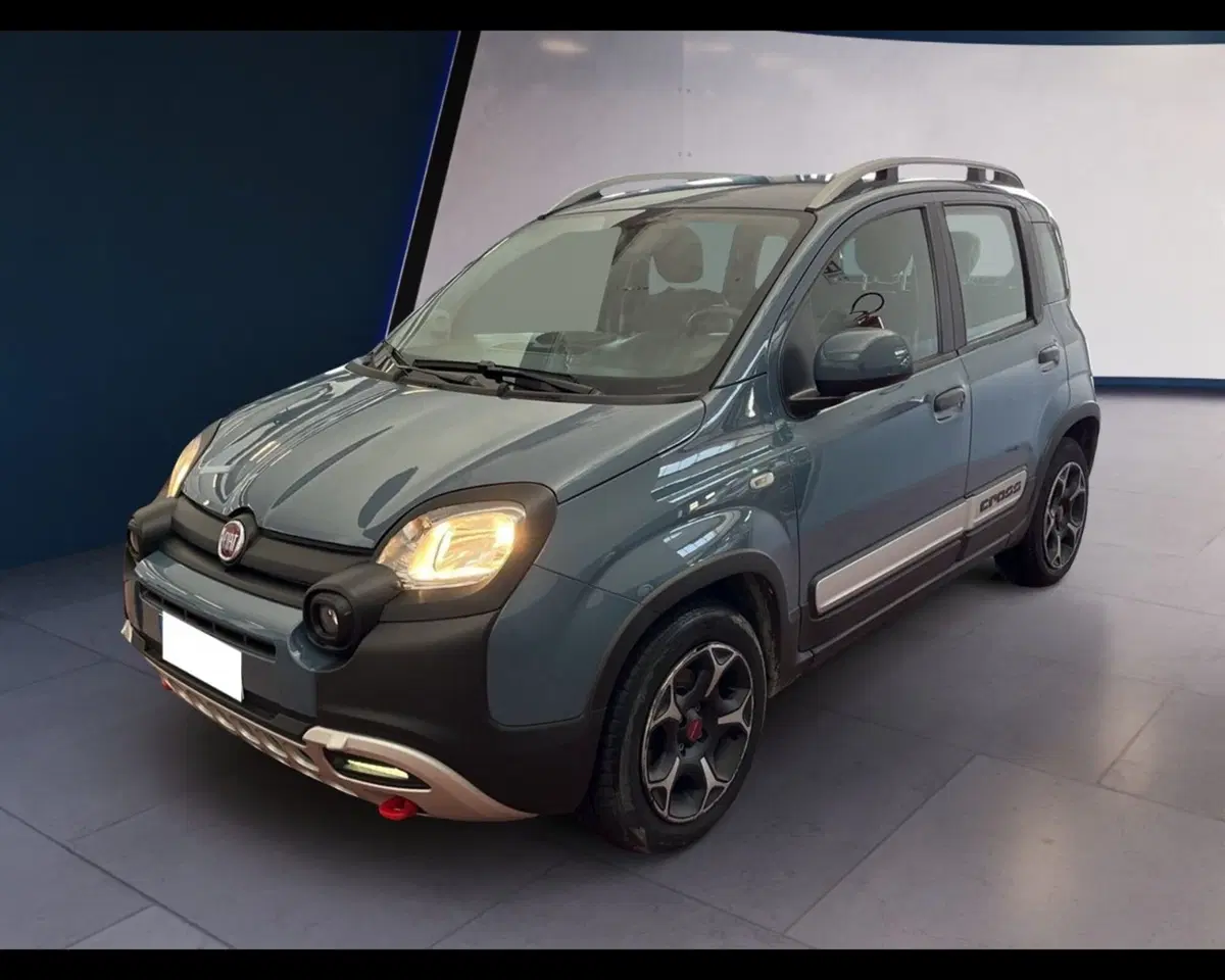 Fiat Panda Cross usata a Torino (8)